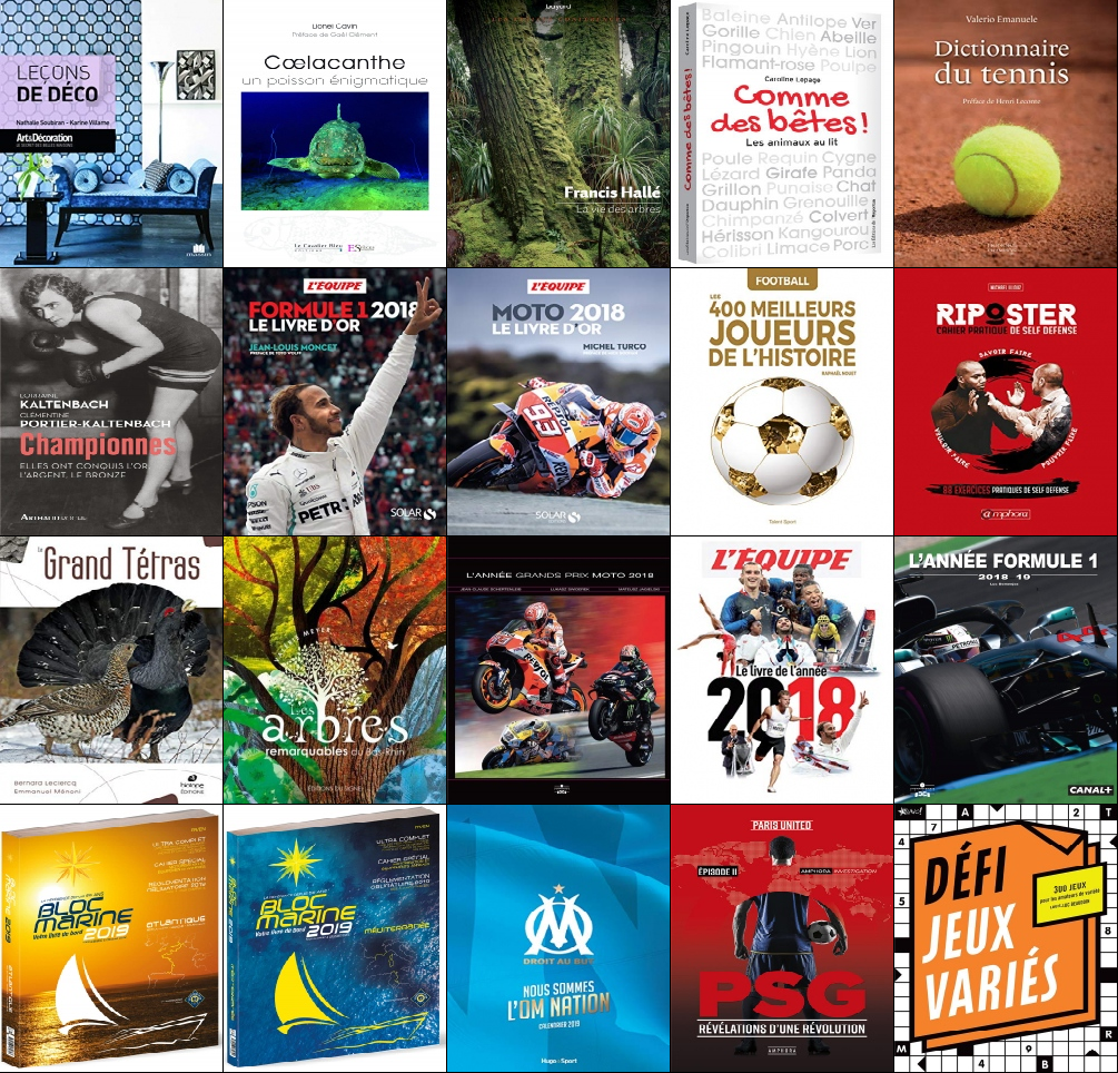 Lot De 40 Livres Vie Pratique, Loisirs, Activités Détente - Occasion